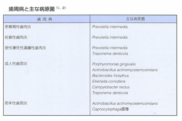 shishu02