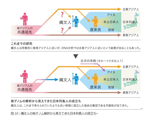 スモカ歯磨